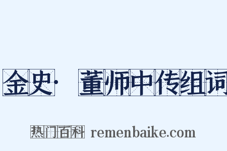 金史·董师中传组词是什么意思的图片